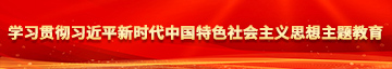 日本日逼最污免费网站学习贯彻习近平新时代中国特色社会主义思想主题教育